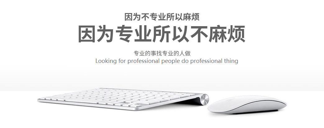 專業門戶網站建設